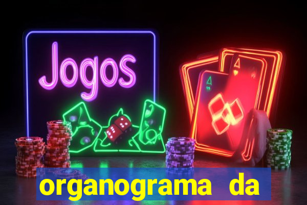 organograma da cacau show